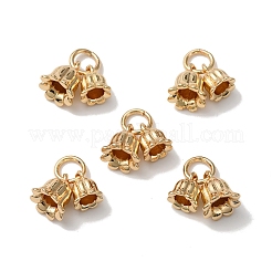 Rack Plating Brass Charms&nbsp;KK-C020-02LG