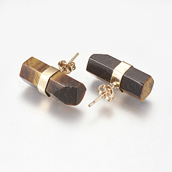 Natural Tiger Eye Stud Earrings&nbsp;EJEW-I212-F-06G