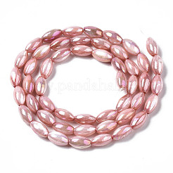 Freshwater Shell Beads Strands&nbsp;SHEL-N026-141D