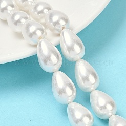 Electroplate Shell Pearl Beads Strands&nbsp;BSHE-O019-05