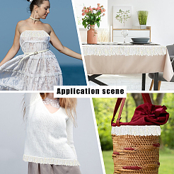 Fringe Polyester Lace Ribbon&nbsp;DIY-WH20062-40A