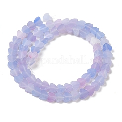 Handmade Lampwork Beads Strands&nbsp;X-LAMP-Q035-01Q