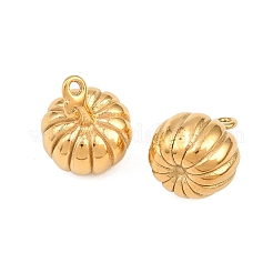 304 Stainless Steel Charms&nbsp;STAS-H241-17B-G