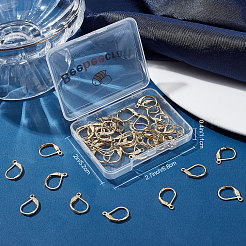 50Pcs 304 Stainless Steel Leverback Earring Findings&nbsp;STAS-BBC0001-44G