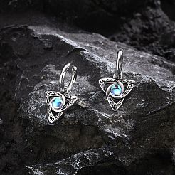 Stainless Steel Hoop Earrings&nbsp;PW-WG7D364-02