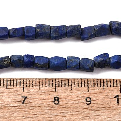 Natural Lapis Lazuli Beads Strands&nbsp;G-F808-K01-01