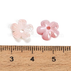 ABS Plastic Beads&nbsp;PL-CBAE6F8-01