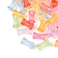 Transparent Acrylic Beads&nbsp;OACR-T030-19D