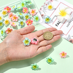 30Pcs Plumeria Resin Cabochon Map Pins&nbsp;AJEW-SC0031-18