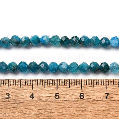 Natural Apatite Beads Strands&nbsp;G-A276-C08-4mm-03