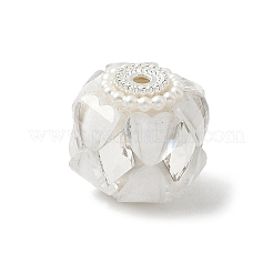 Transparent Acrylic Beads&nbsp;CLAY-NH0003-04S