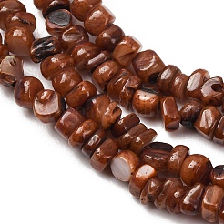 Dyed Natural Freshwater Shell Beads Strands&nbsp;SH-CBA2978-04A