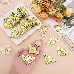 50Pcs Iron Triangle Corner Protector for Wood Box&nbsp;IFIN-FG0001-07G