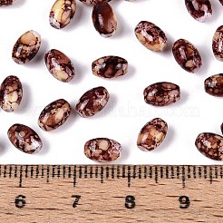Spray Painted Glass Seed Beads&nbsp;SEED-T007-14D