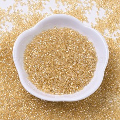 MIYUKI Delica Beads Small&nbsp;SEED-X0054-DBS0100