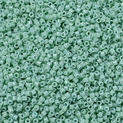 MIYUKI Delica Beads&nbsp;SEED-JP0008-DB2125