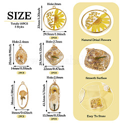 10Pcs 5 Styles Epoxy Resin Pendants&nbsp;FIND-TA0008-97