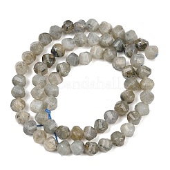 Natural Labradorite Beads Strands&nbsp;G-P611-C26-01