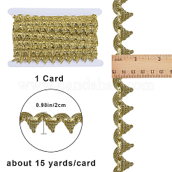 13.6~15 Yards Filigree Polyester Lace Ribbon&nbsp;DIY-GF0007-67A