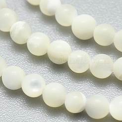 Natural White Shell Beads Strands&nbsp;G-A177-04-25