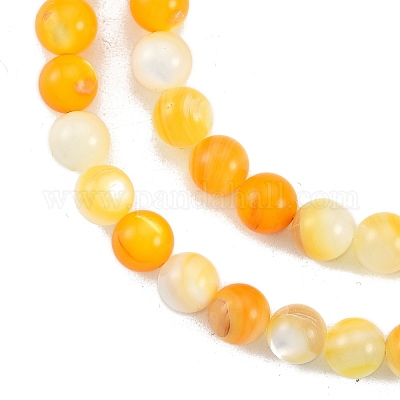 Natural Golden Yellow Shell Beads Strands&nbsp;SSHEL-G024-01B-1