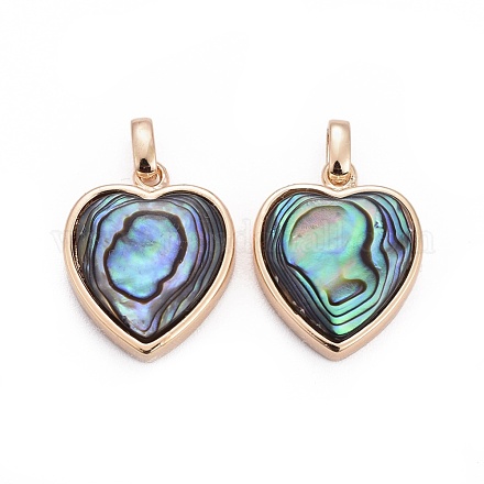 Natural Abalone Shell/Paua ShellCharms BSHE-F011-04B-G-1