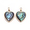 Natural Abalone Shell/Paua ShellCharms, with Brass Findings, Heart, Golden, 13x11x4.5mm, Hole: 2x3mm