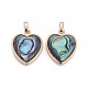 Natural Abalone Shell/Paua ShellCharms&nbsp;BSHE-F011-04B-G-1