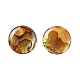 Paua Shell Cabochons&nbsp;SSHEL-C008-08-2
