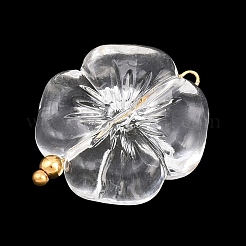 Transparent Acrylic & Stainless Steel Pendants&nbsp;TACR-G051-01G-02