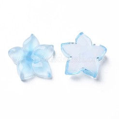 Transparent Epoxy Resin Cabochons&nbsp;X-CRES-S365-23B