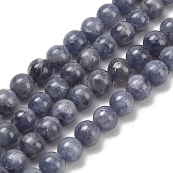 Natural Iolite Beads Strands&nbsp;G-C259-B06-6mm
