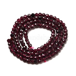 Natural Garnet Beads Strands&nbsp;X-G-I341-09B-01