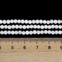 Natural Cultured Freshwater Shell Beads Strands&nbsp;BSHE-H109-03A