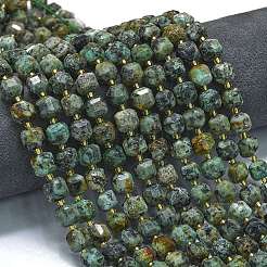 Natural African Turquoise(Jasper)  Beads Strands&nbsp;G-K389-A49-01