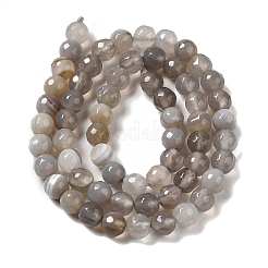 Natural Striped Agate/Banded Agate Beads Strands&nbsp;G-A246-8mm-02
