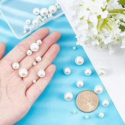 40Pcs 5 Sizes Shell Pearl Beads&nbsp;BSHE-NB0001-11