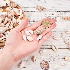 Mixed Shell Beads&nbsp;BSHE-PH0003-20