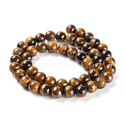 3 Strands 3 Sizes 4mm 6mm 8mm Grade AB Natural Tiger Eye Round Beads Strands&nbsp;G-FS0001-20