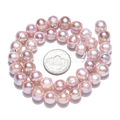 Natural Cultured Freshwater Pearl Beads Strands&nbsp;PEAR-N013-09B