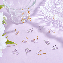 24Pcs 2 Colors 304 Stainless Steel Earring Hooks&nbsp;STAS-UN0063-73
