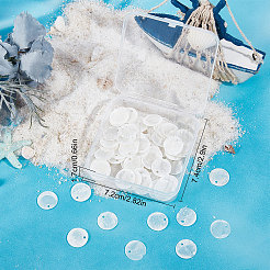 100Pcs Capiz Shell Charms&nbsp;SHEL-SC0001-25B
