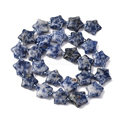 Natural Blue Spot Jasper Beads Strands&nbsp;G-K359-E11
