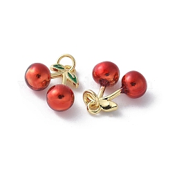 Brass Enamel Charms&nbsp;KK-D336-06G-04