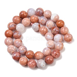 Natural Pink Agate Beads Strands&nbsp;G-K350-C02-10mm