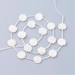 Natural White Shell Beads&nbsp;SSHEL-Q298-06
