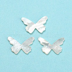 Natural Sea Shell Cabochons&nbsp;SHEL-D079-16
