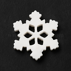 Christmas Theme Resin Cabochons&nbsp;RESI-C023-01P