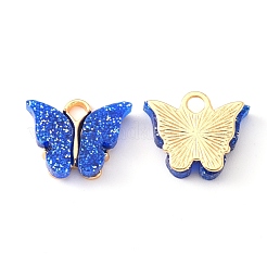 Alloy Enamel Pendants with Glitter Powder and Zinc Alloy Hanging Plating&nbsp;ENAM-R056-01F