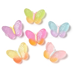 Luminous Translucent Resin Decoden Cabochons&nbsp;RESI-M041-06